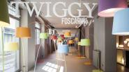 Twiggy als Special Edition in den Farben Hellblau, Grün, Orange, Gelb, Rot, Lila und Petrol.