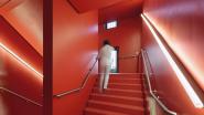 Die Treppenhäuser bieten durch unterschiedliche Farben Orientierung. Linaria Leuchten empfinden den Treppenlauf nach und wirken wie ein leuchtendes Pendant des Geländers.
