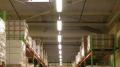 LED-Feuchtraumleuchte ′Luxano′ von Schuch