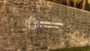 HILDESHEIM - VERBINDUNG VON UNESCO-WELTERBESTÄTTEN MIT DER „instalight 1060“ - Foto: Studio DL (Dirk-André Betz)