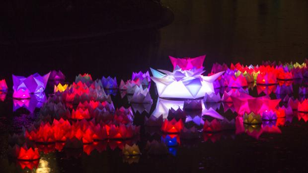 »Water-Lily-Nation« von der Künstlergruppe Luminauten war eine poetische Lichtinstallation im Palmengarten Frankfurt. Foto: Messe Frankfurt Exhibition / Jochen Günther