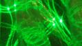 MagicGewebe erzeugt dreidimensionale Lichtstrukturen