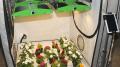 Gartenbauleuchte 'Sunflow' von Pro-Emit mit Hochleistungs-LEDs von Cree
