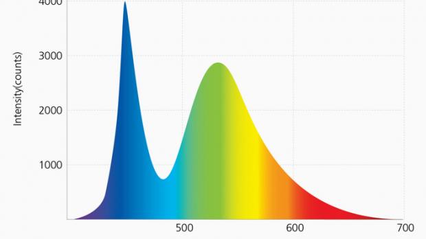 Typisches Spektrum von weißen Standard-Leuchtdioden.