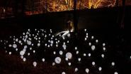 Lichtinszenierung 2012 im Neuruppiner Tempelgarten vom Wismarer Studiengang Architectural Lighting Design