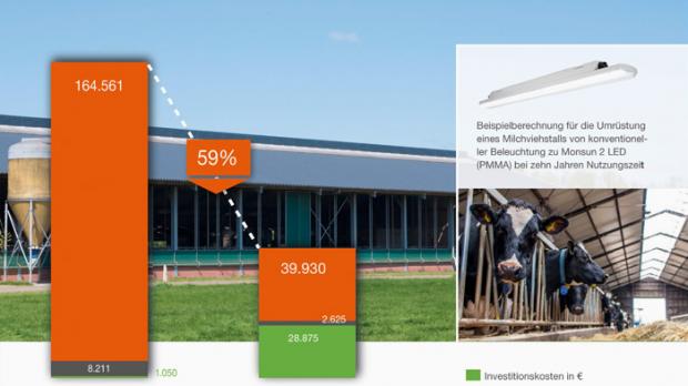 Bis zu 59% Einsparpotential bei Umrüstung auf modernes Licht im Nutztierstall.