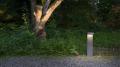 Die Whisky Soda LED Bollard bringt Lichtakzente in den häuslichen Garten