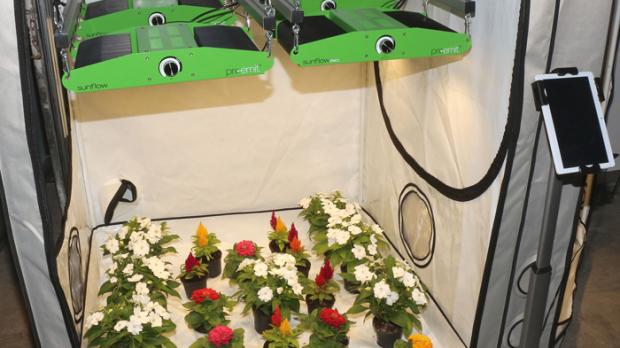 Gartenbauleuchte 'Sunflow' von Pro-Emit mit Hochleistungs-LEDs von Cree
