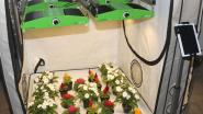 Gartenbauleuchte 'Sunflow' von Pro-Emit mit Hochleistungs-LEDs von Cree
