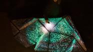 Iguzzini "Light-Pollination"
