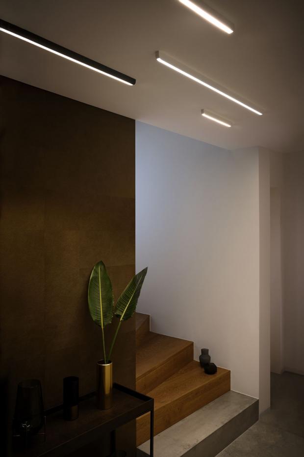Occhio-Leuchte Mito linear.